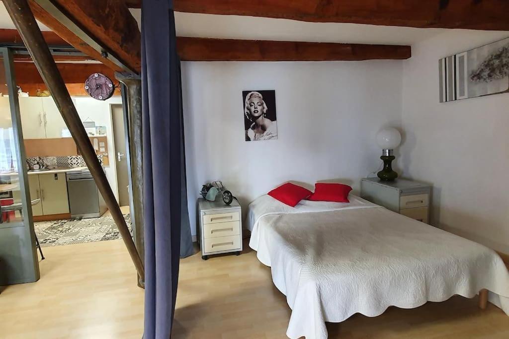 セットLe Loft Du 31 Deco Charme Cosy Centre Garage Prive Climatisationアパートメント エクステリア 写真